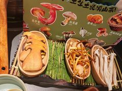 -季季山·云南野生菌火锅(上海首店)