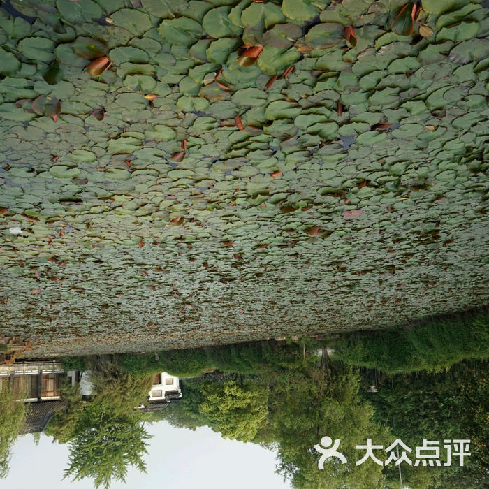 天井湖游乐园图片