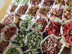 -循礼门鲜花花市(武汉循礼门店)