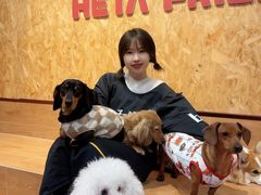 -和它·交个朋友·狗咖猫咖(爱琴海店)