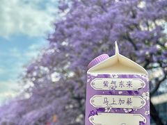 -西昌邛海湿地