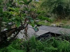 -天芳悦潭度假村温泉