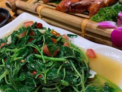 番茄炒小米菜-老滇山寨•云南特色菜•地方菜•民族风情歌舞表演(金碧店)