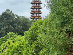 -天下玉苑