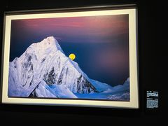 -罗红摄影艺术馆