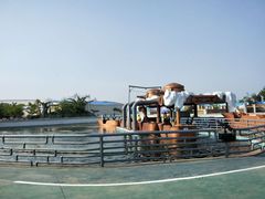 -秦皇岛乐岛海洋王国