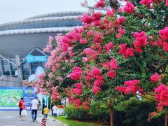 -杭州城北体育公园