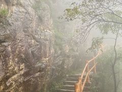 -少林寺欢喜地素斋馆