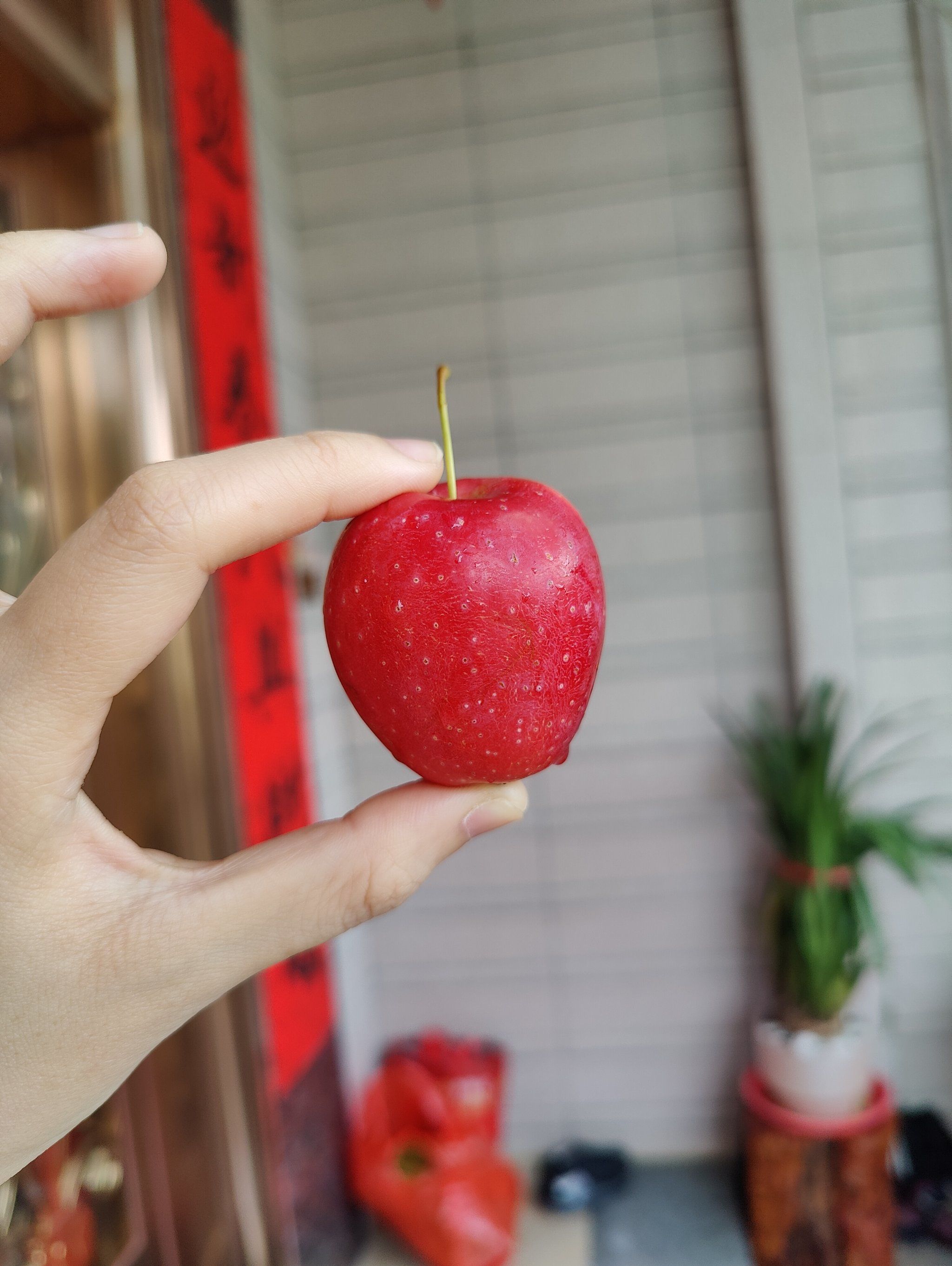 小小小苹果
