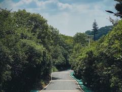 -老山国家森林公园
