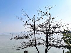 -深圳湾公园(南山区)