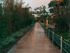 -神光山国家森林公园