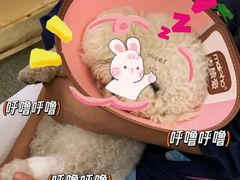 -天津前进宠物医院(前进道店)