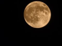 -南京金牛湖风景区