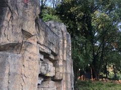 -山湖温泉