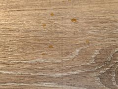 -直隶安家牛肉罩饼(建华店)