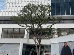 -深圳湾万象城(南山店)