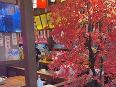 -白石的深夜食堂(济南万象城店)