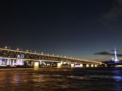 -武汉两江游览·夜游长江(汉口粤汉码头)