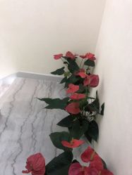 点击看大图 -王妃SPA·美容·科技抗衰