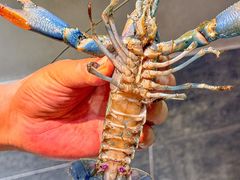 -三妹小龙虾·黄油蟹(华侨城总店)