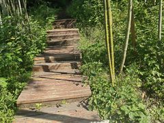 -南京市无想山景区