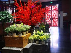 -黔蘑菇四季餐厅(观山湖店)