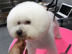 -宠福鑫康馨动物医院·骨科·眼科