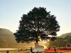 -广州市石门国家森林公园
