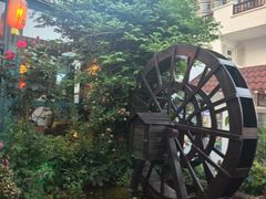 -慢丽江·云南野生菌土鸡锅(付家庄店)