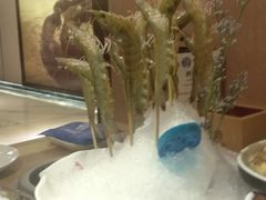 -尚海豆捞(乐虹坊店)