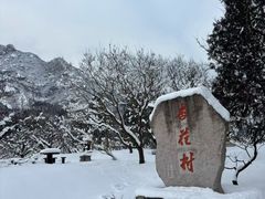 -北京凤凰岭