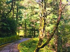 -苍山感通索道