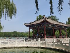 -达活泉公园