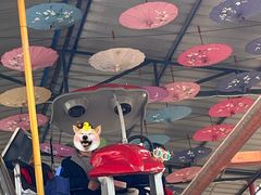 -西安市长乐公园