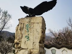 -北京鹫峰国家森林公园