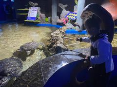 -石林冰雪海洋世界