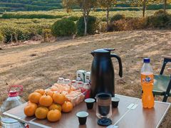 -龙坞茶村