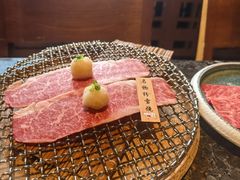 -老乾杯(深圳湾万象城店)