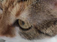 -平行世界·猫咖(首经贸店)