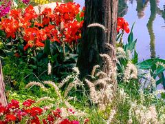 -人民公园(罗湖区)