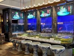 -珍宝轩海鲜火锅(碧湖大厦店)