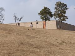 -盘龙城国家考古遗址公园