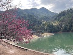 -五泄景区