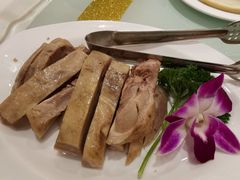-金三杯酒家(泉城路店)