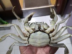 -海鲜冷冻副食批发市场(和生国际店)