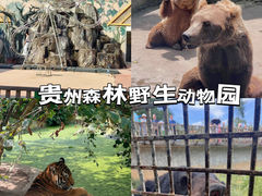 -贵州森林野生动物园