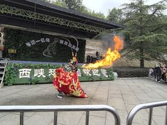 -中国西峡恐龙遗迹园