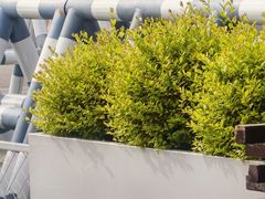 -杭州城北体育公园