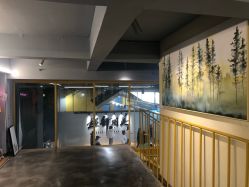 -YASAKI国际舞蹈中心